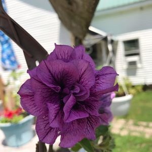 Meet your Posher, Jane